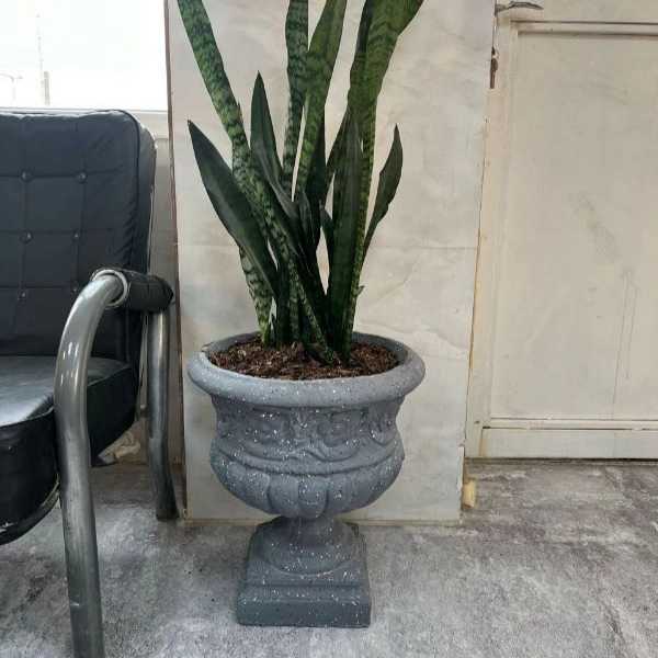 1713598445649.webp