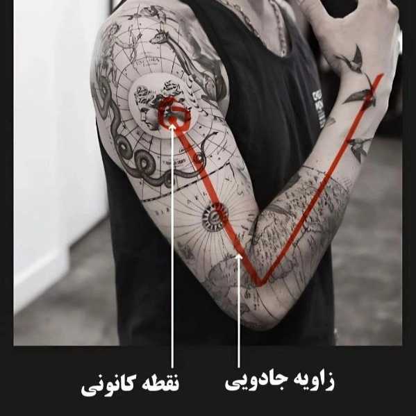 1720871900007.webp