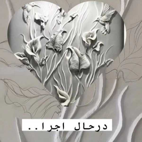 1723021604495.webp