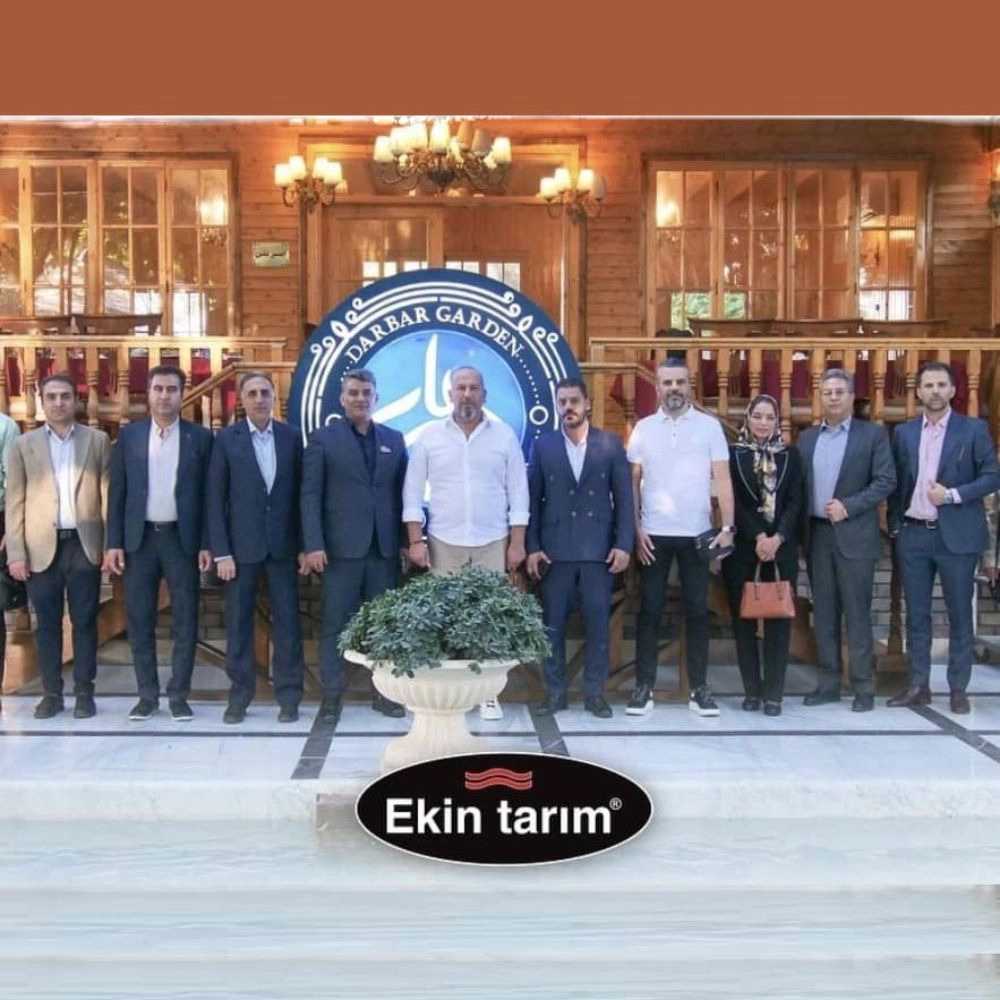 1732094766141.webp