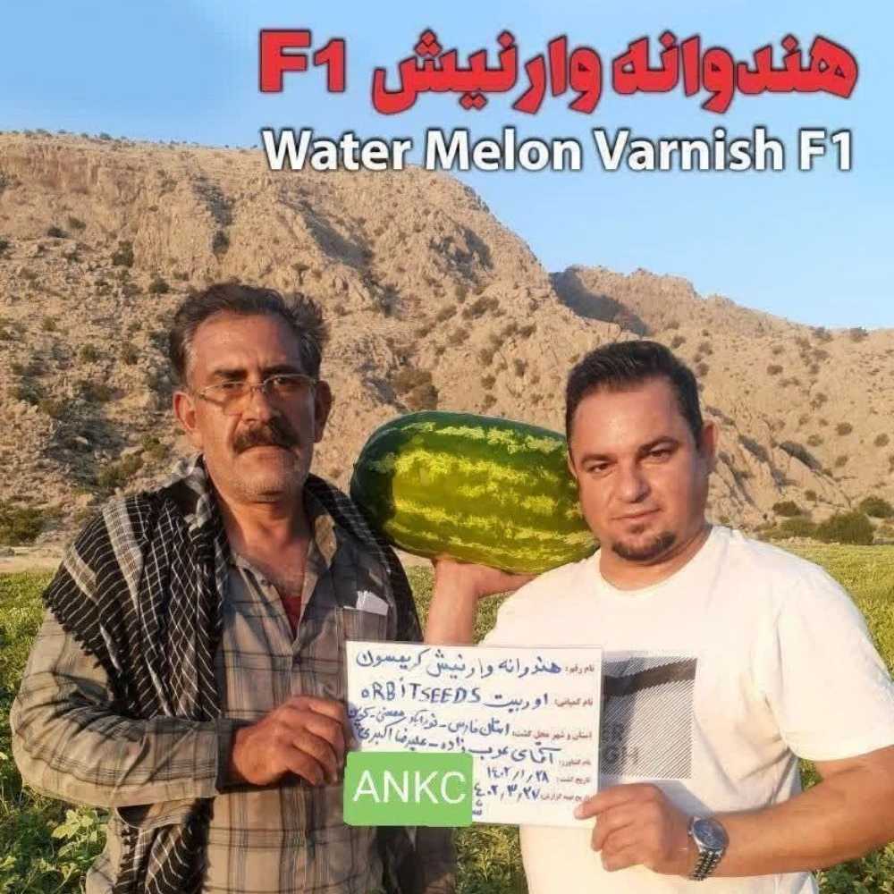1734336862122.webp