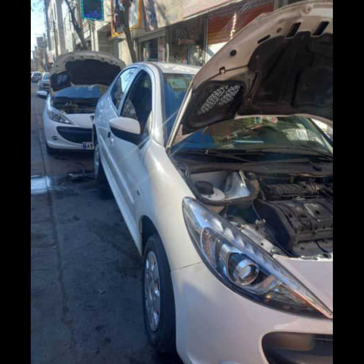 1737524496380.webp