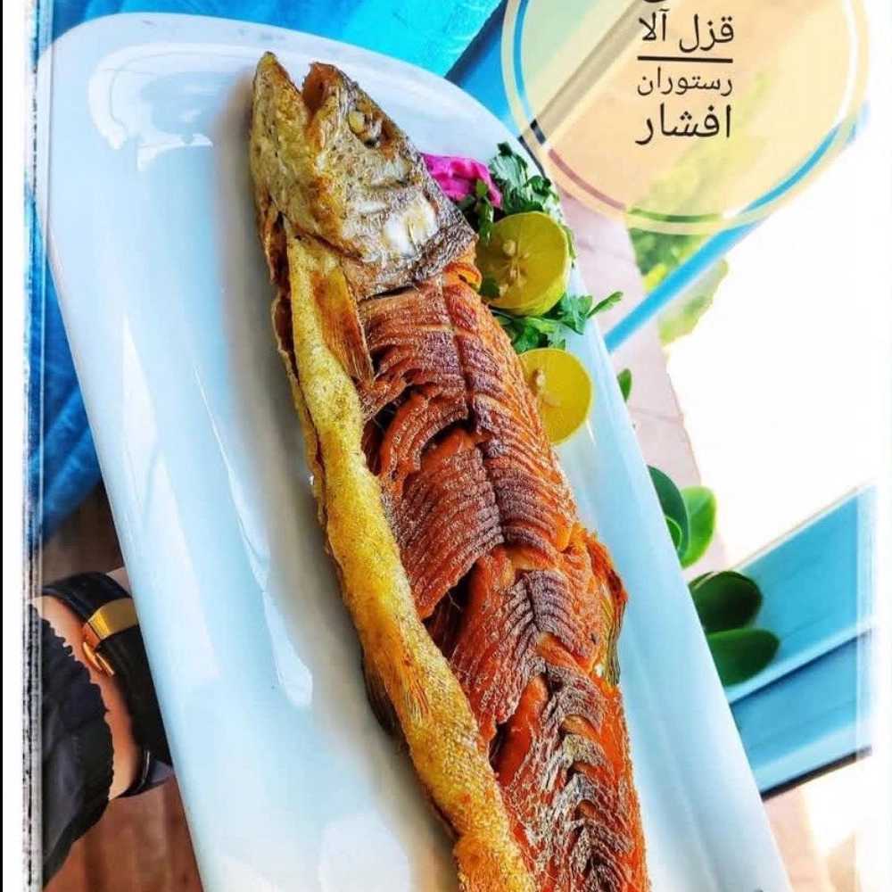 Somon kloesi