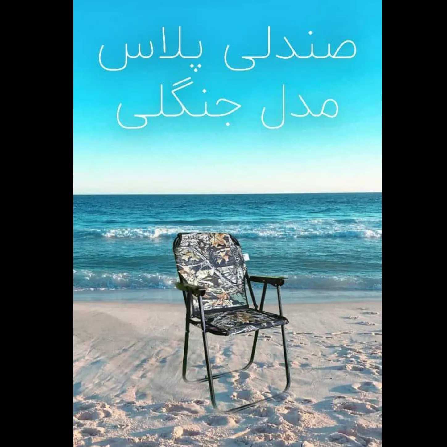 1739858411403.webp