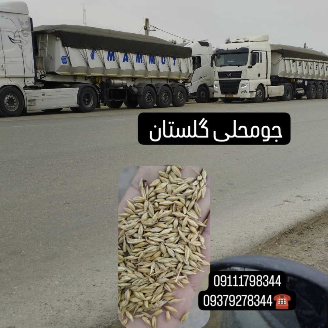 1743844279311.webp