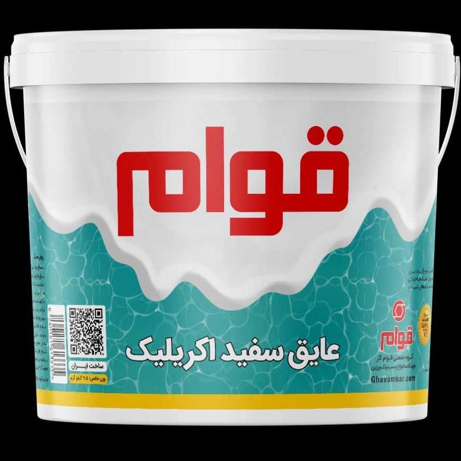 1747043299684.webp