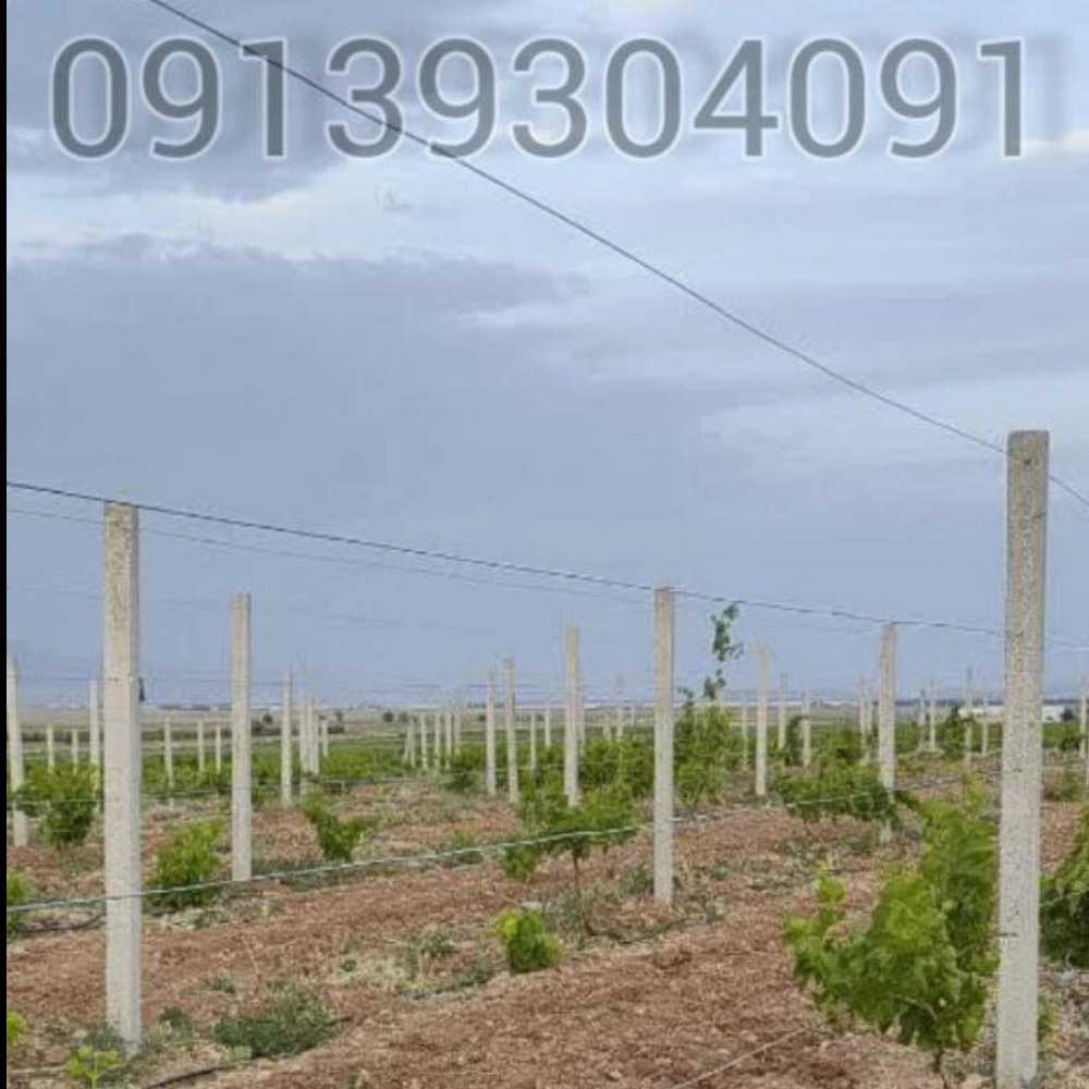 1753088588881.webp