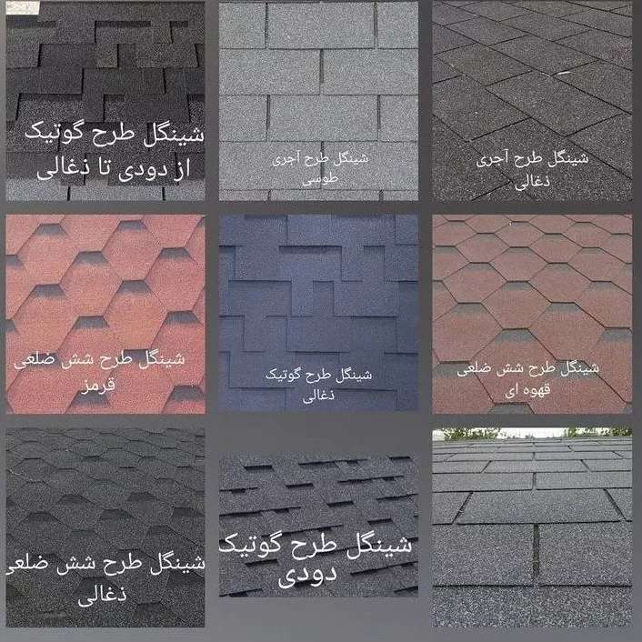 شینگل