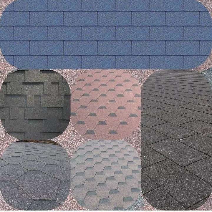 شینگل