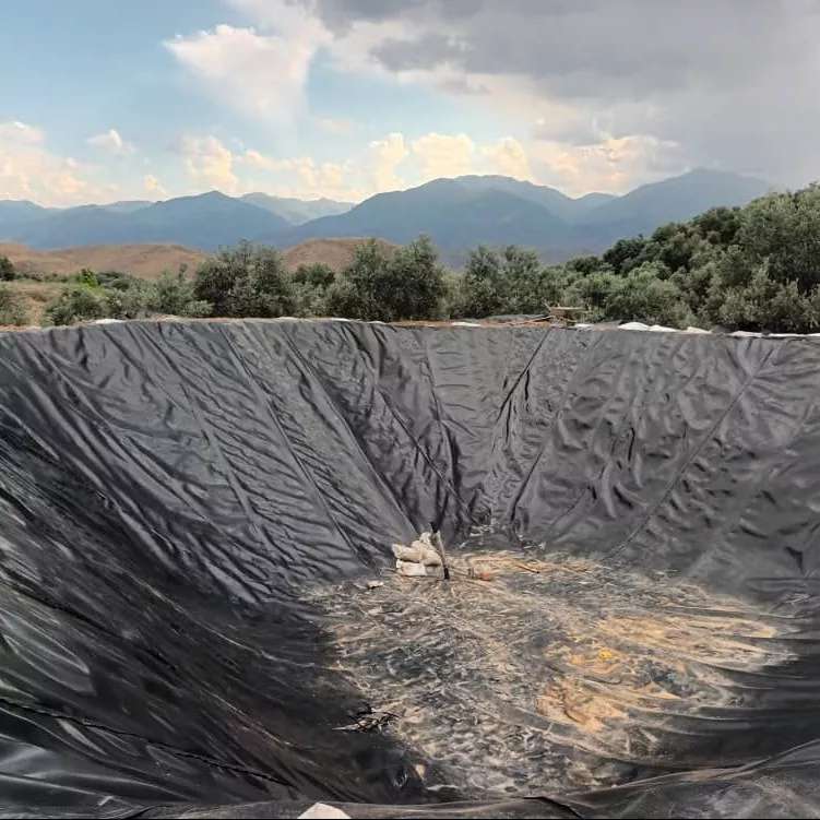 ورق ژئوممبران