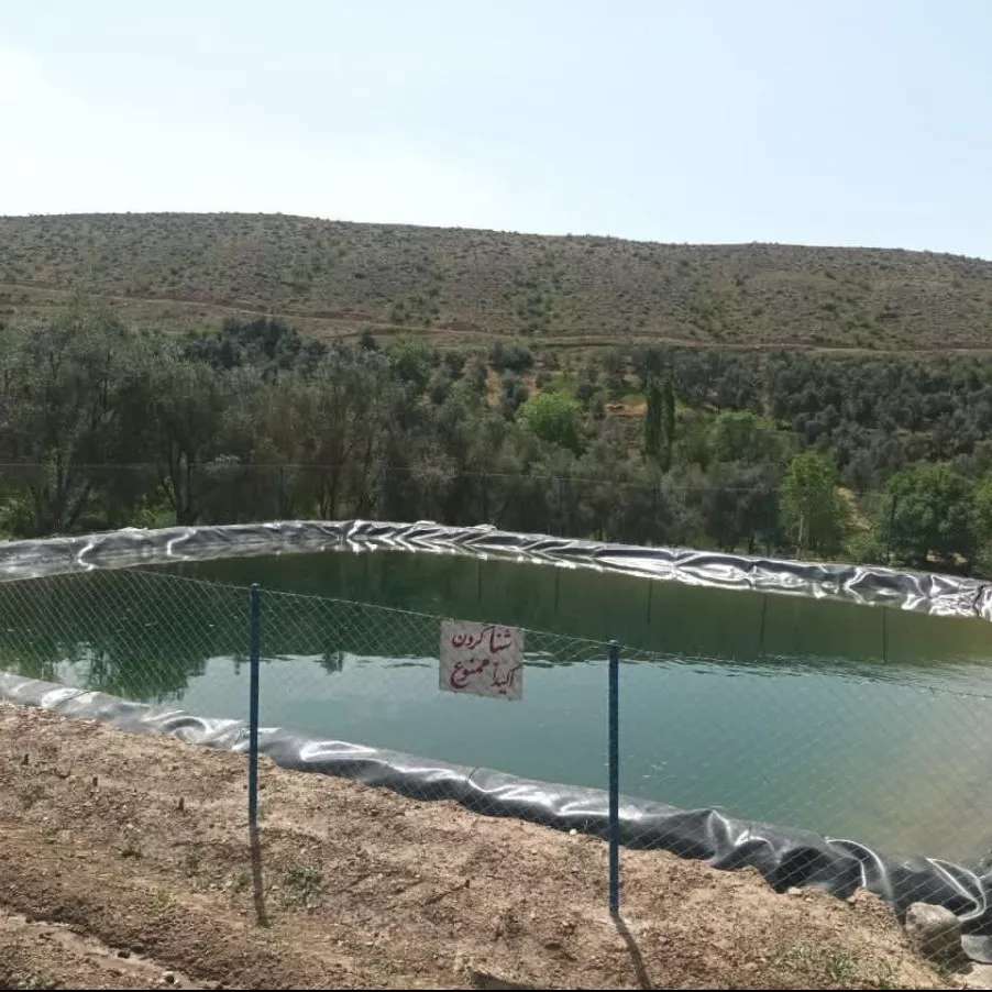 ورق ژئوممبران