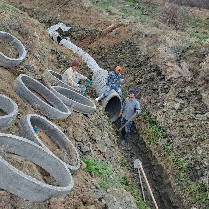 شرکت پیش ساخته کاران