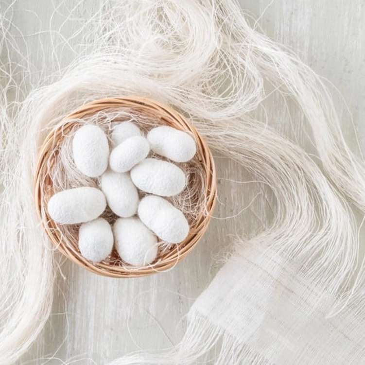 پیله ابریشم
