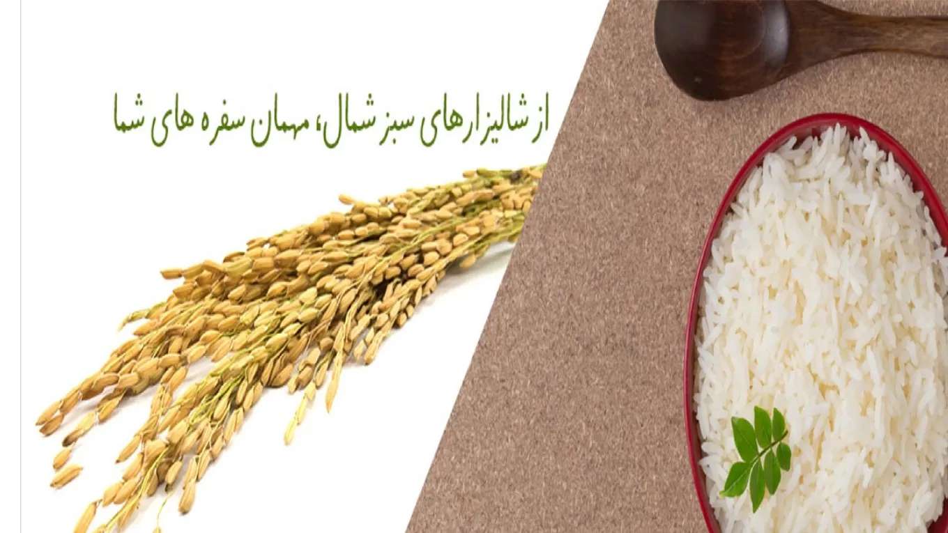 مطحنة اللؤلؤة