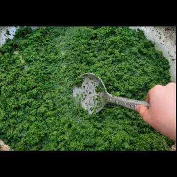 پیاز و سبزی سرخ شده