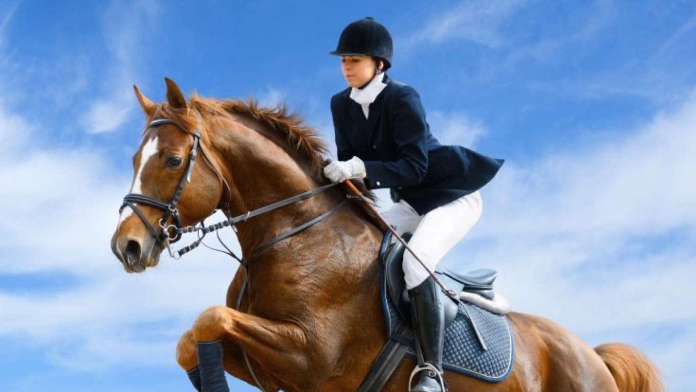 Zoroastrian Riding Club