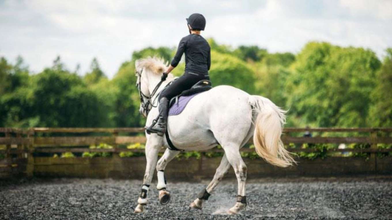 Zoroastrian Riding Club