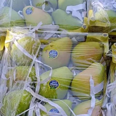 میوه های دستچین و با کیفیت