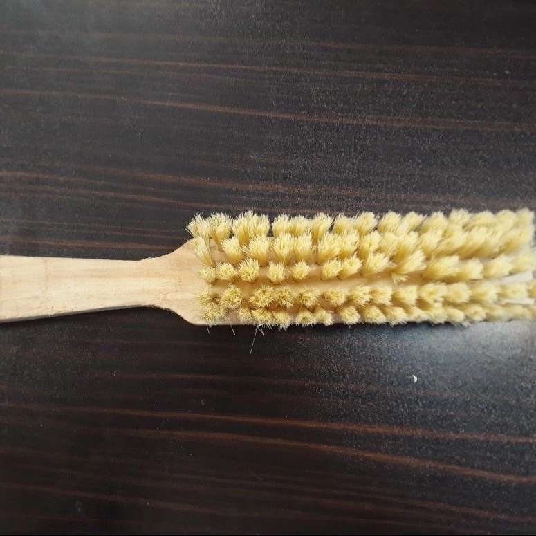 فرچه و برس شمس