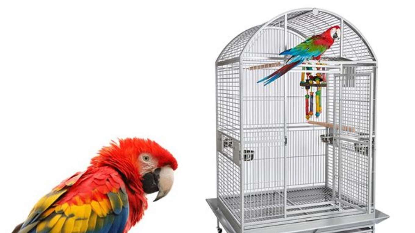 Bird cage production