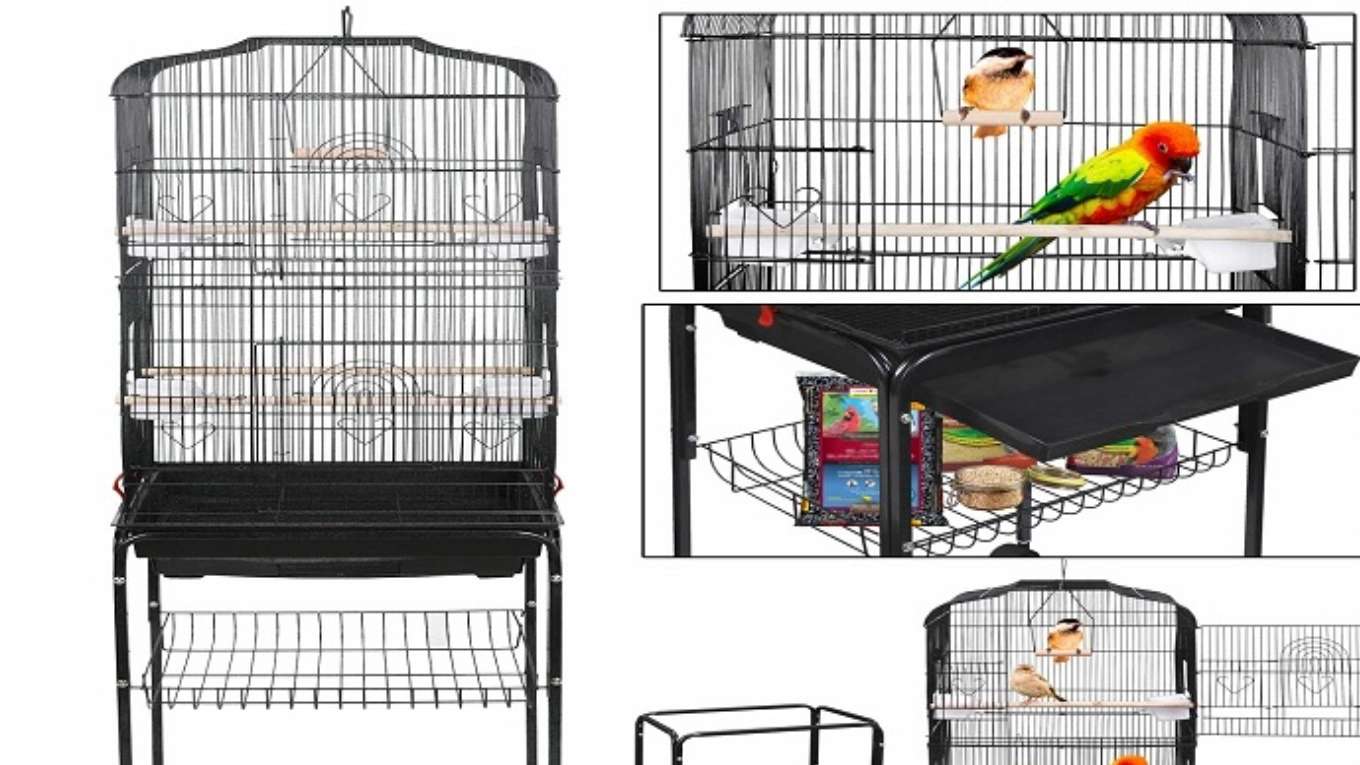 Bird cage production