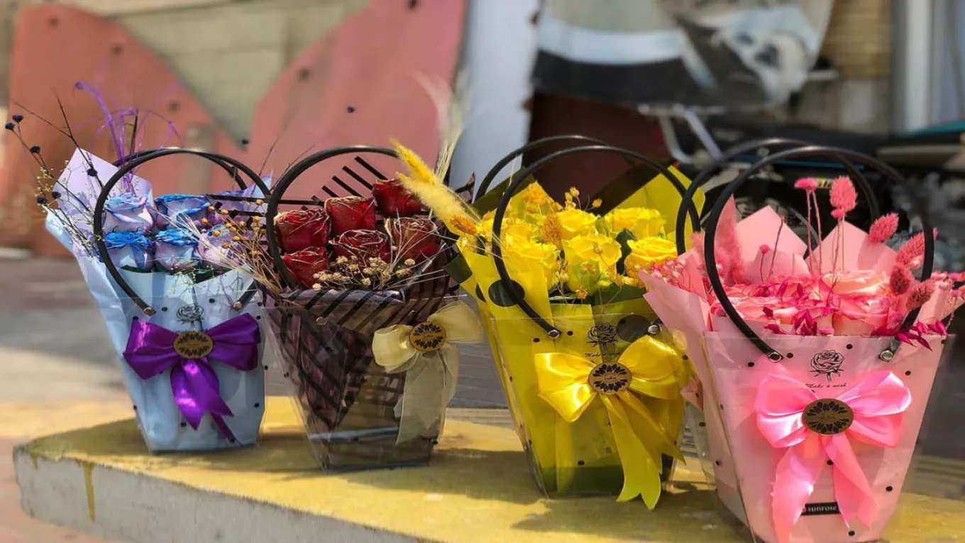 محل زهرة الشمس في بندر عباس