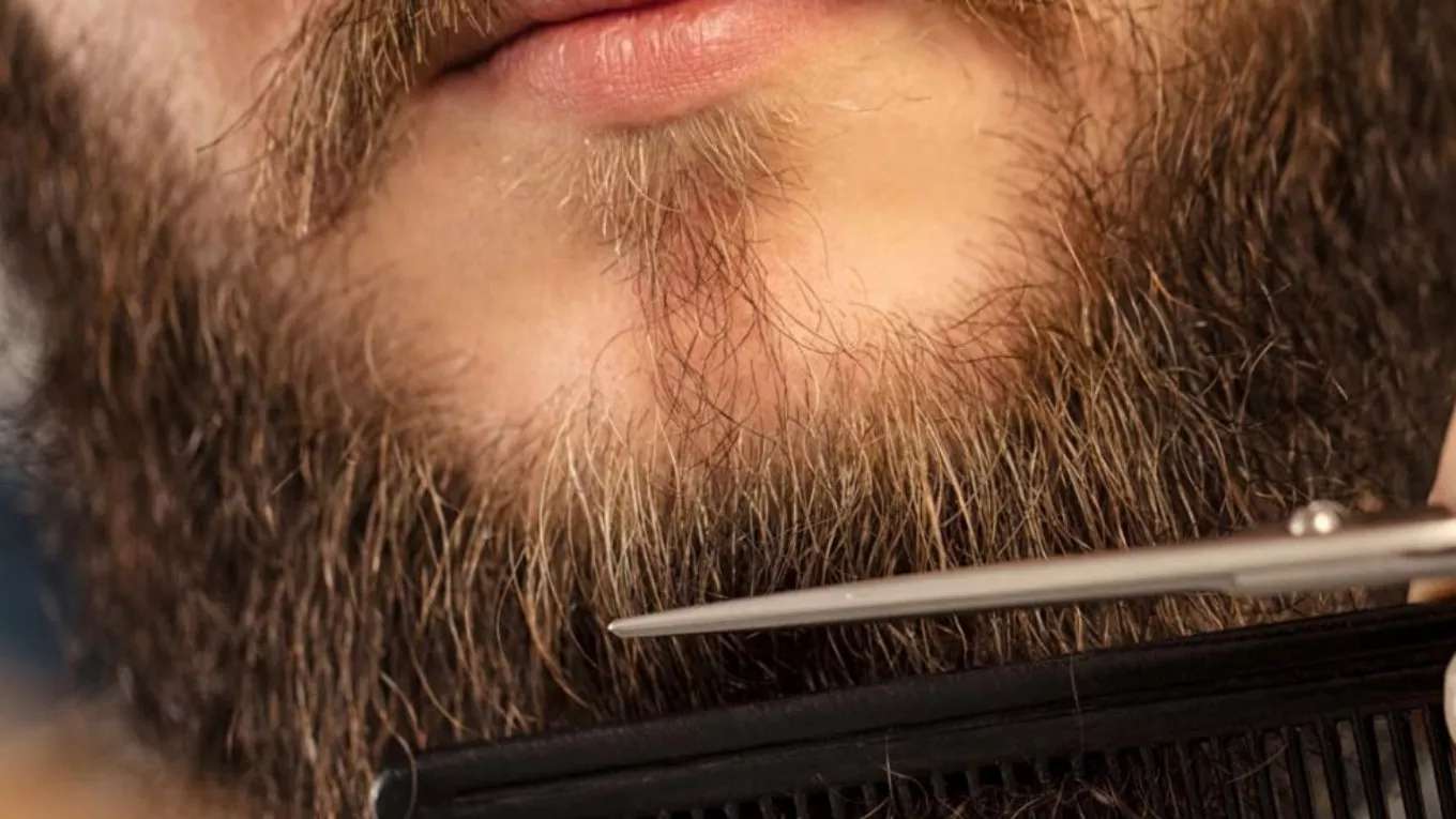 Morteza Hasanpour men's haircut