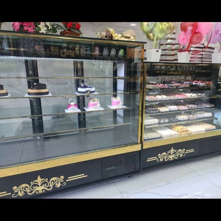 یخچال های مکعبی در ابعاد مختلف مناسب قنادی موتور سکاپ کندانسور کاوردار ترموستات دیجیتال