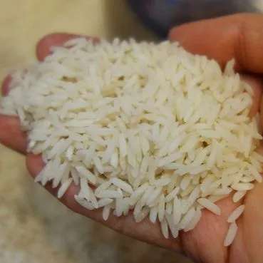 برنج