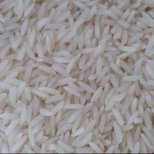 برنج فروشی خزر
