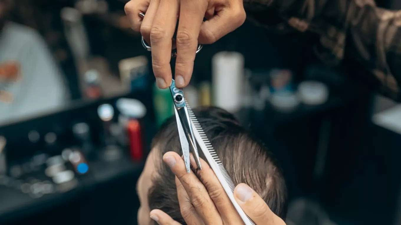 Modern trimming of the falcon