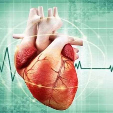 دکتر کاشانی متخصص قلب و عروق