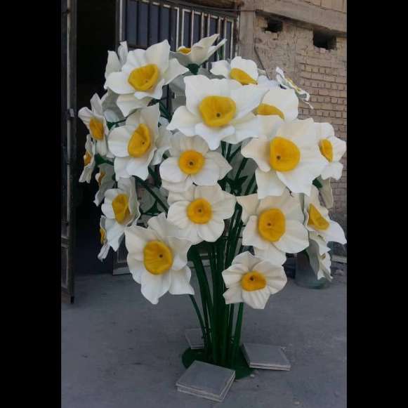 المان گل نرگس
