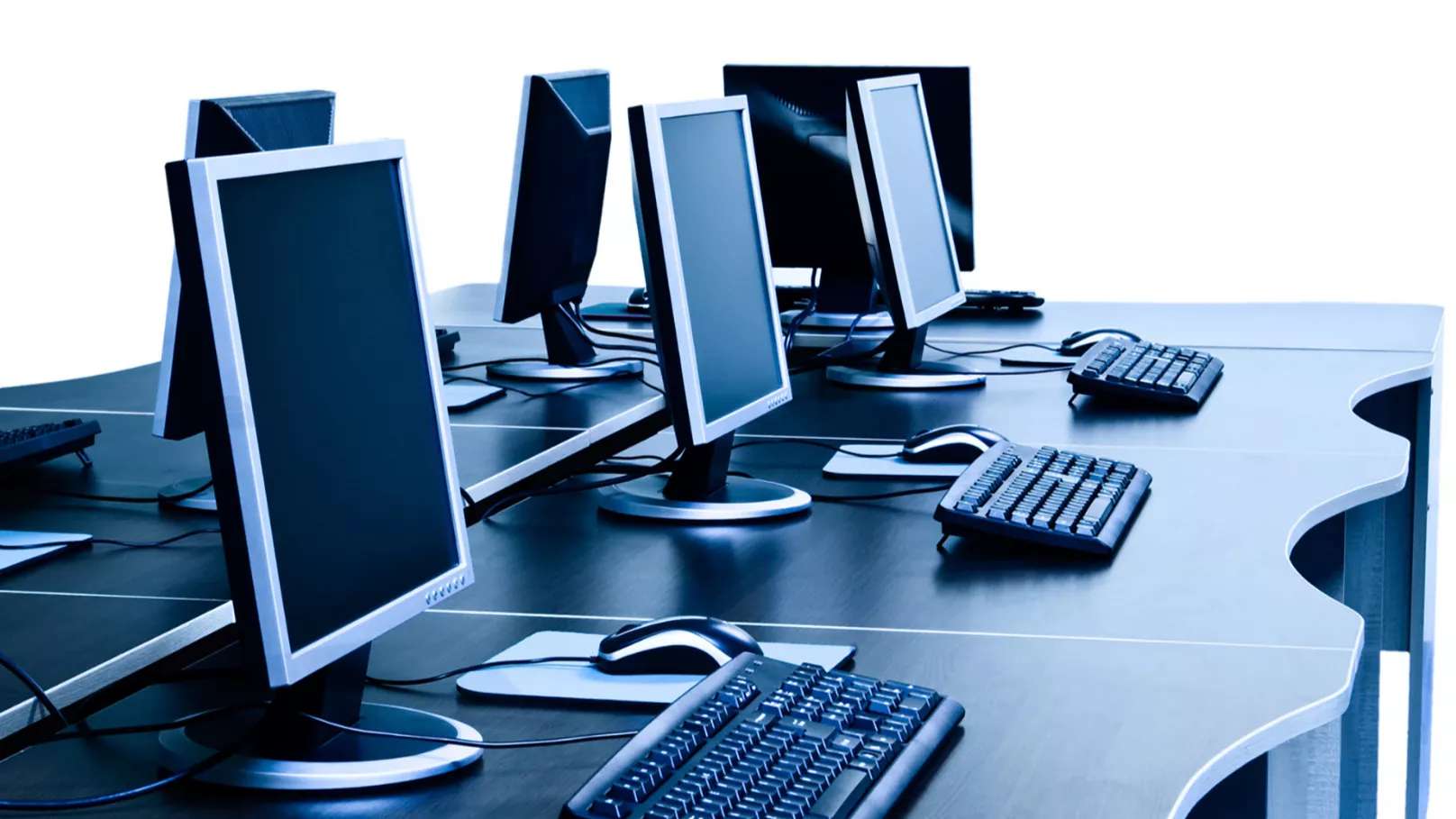 Hiva network and security training