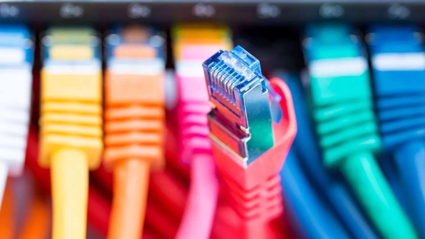Hiva network and security training