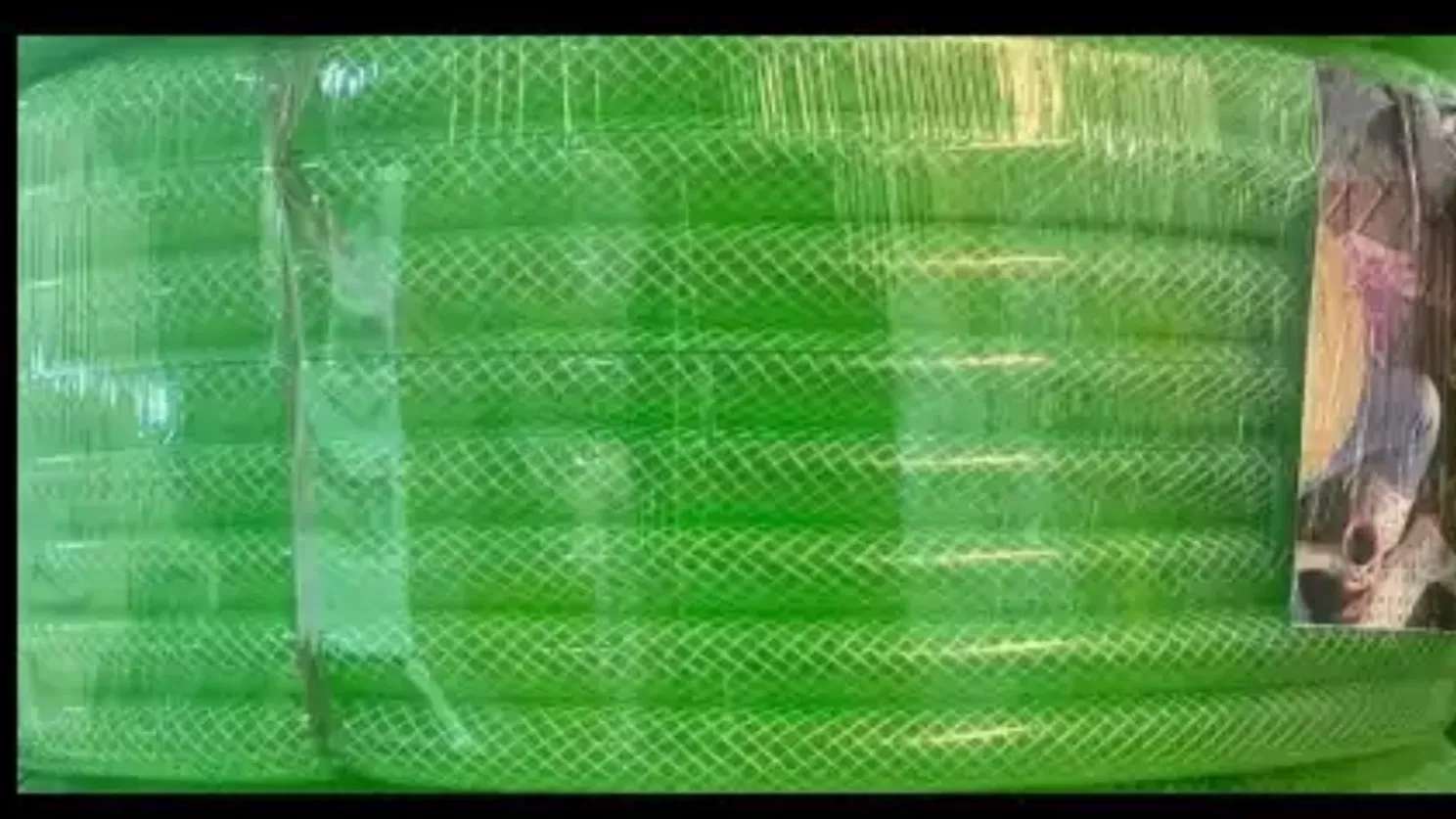 خرطوم ملكي