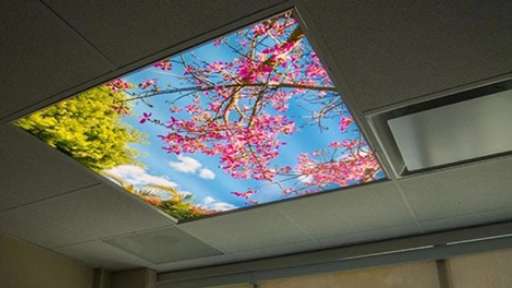 Mojtaba's virtual sky