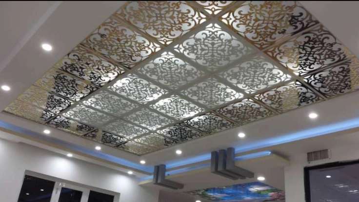 Mojtaba's kenaf and false ceiling