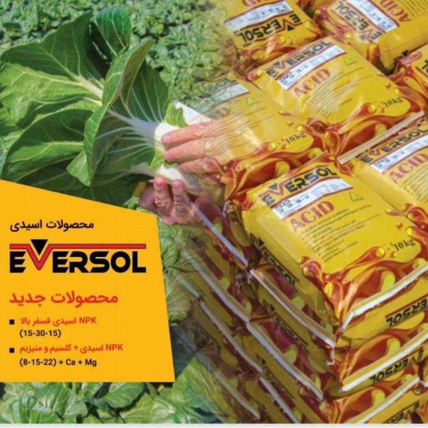 کاتالوگ محصولات اسیدی