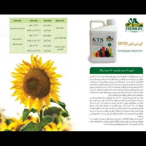 کاتالوگ محصولات اسیدی