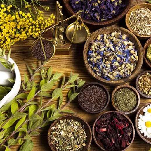 عطاری ماه سورت