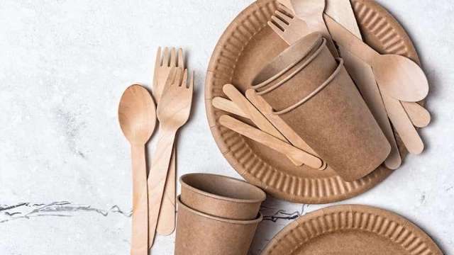 Rajabian paper dishes