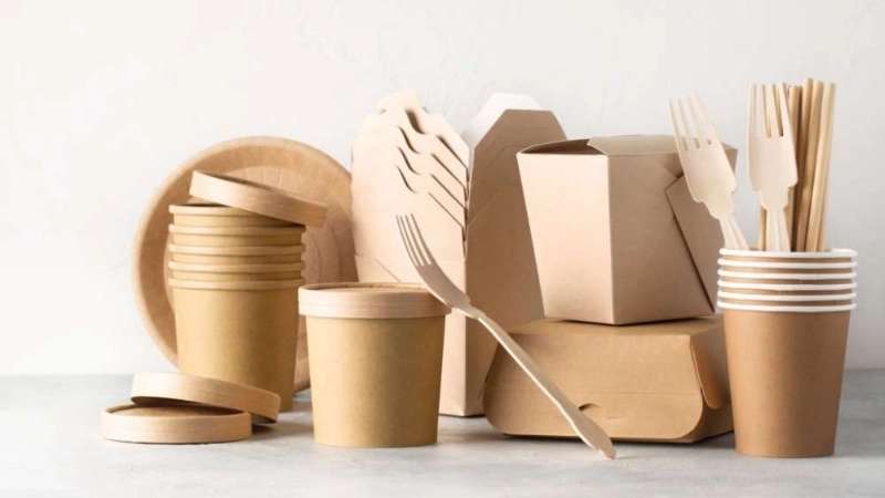 Rajabian paper dishes