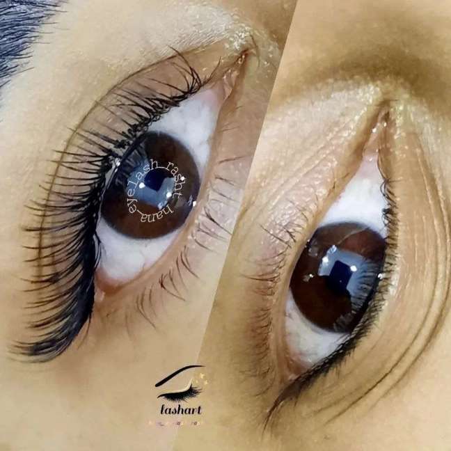 نمونه کار