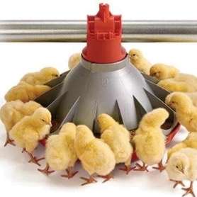 تجهیزات مرغداری پارس طیور