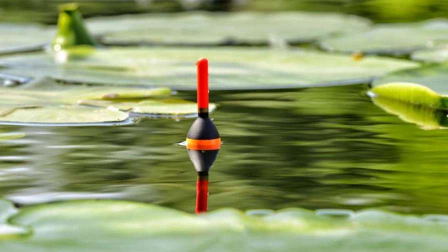 Alborz Tadbir fishing float