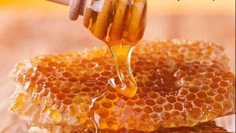 Production and sale of Kohsaran honey