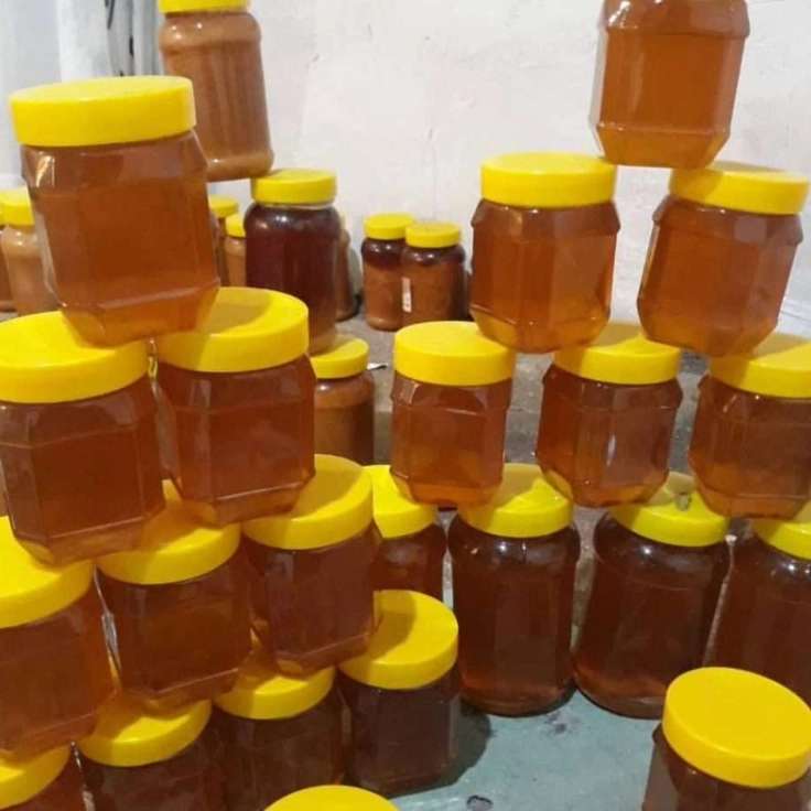 تولید و فروش عسل کوهساران