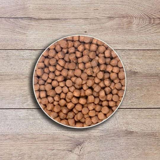 غذای ماهی رجایی
