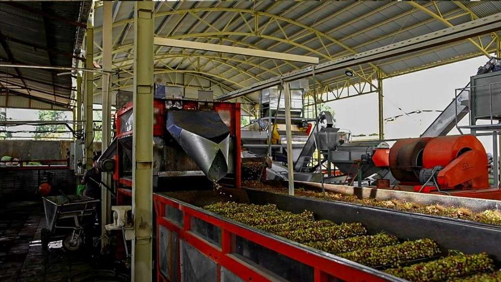 Manufacturer of pistachio processing terminals